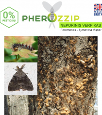 Feromonas Neporiniam verpikui (Lymantria dispar), Pherozzip, 1 vnt